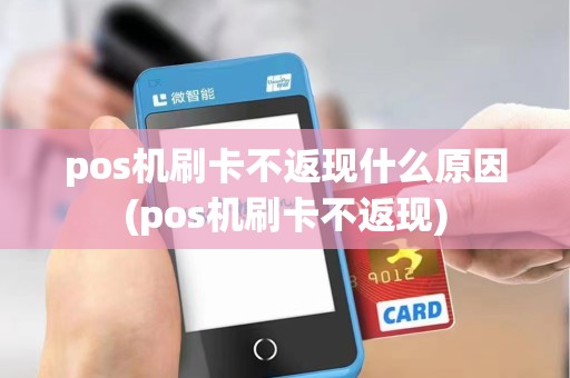 pos机刷卡不返现什么原因(pos机刷卡不返现)