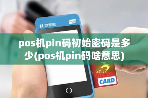 pos机pin码初始密码是多少(pos机pin码啥意思)