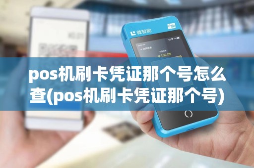 pos机刷卡凭证那个号怎么查(pos机刷卡凭证那个号)