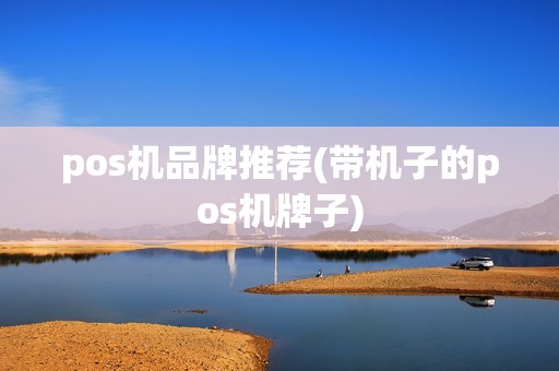 pos机品牌推荐(带机子的pos机牌子)