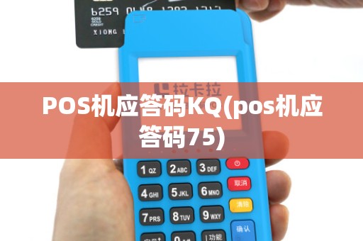 POS机应答码KQ(pos机应答码75) POS机应答码KQ(pos机应答码75)