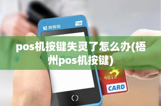 pos机按键失灵了怎么办(梧州pos机按键) pos机按键失灵了怎么办(梧州pos机按键)