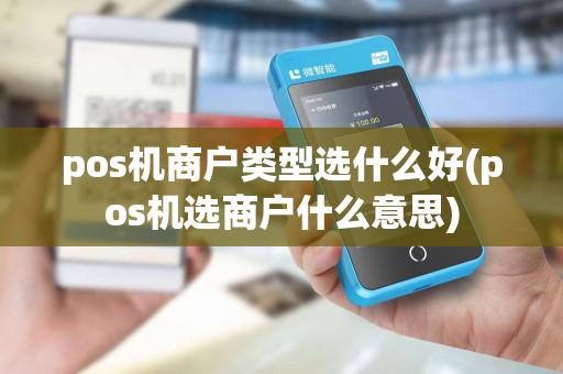 pos机商户类型选什么好(pos机选商户什么意思)