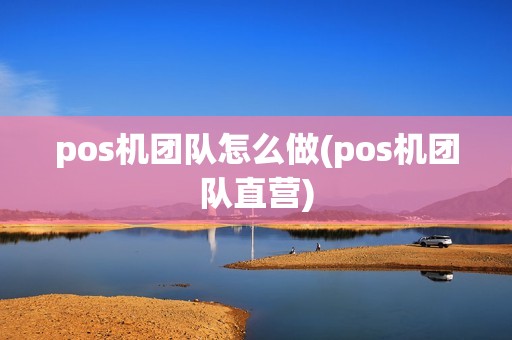 pos机团队怎么做(pos机团队直营)