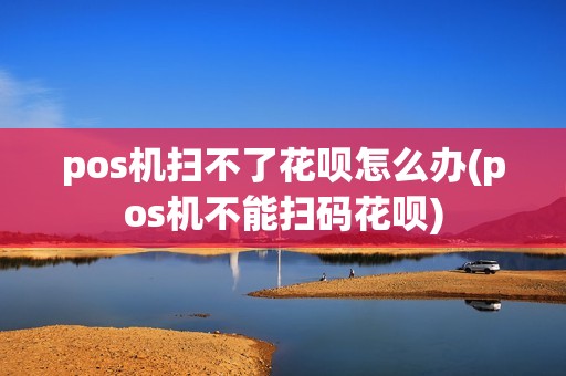 pos机扫不了花呗怎么办(pos机不能扫码花呗) pos机扫不了花呗怎么办(pos机不能扫码花呗)