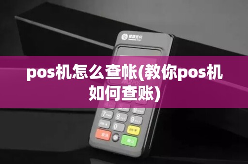 pos机怎么查帐(教你pos机如何查账)