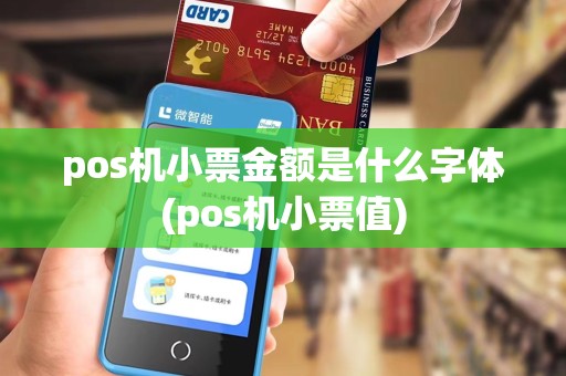 pos机小票金额是什么字体(pos机小票值)