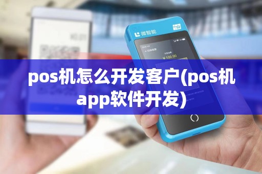pos机怎么开发客户(pos机app软件开发)