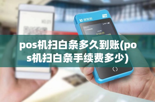 pos机扫白条多久到账(pos机扫白条手续费多少)