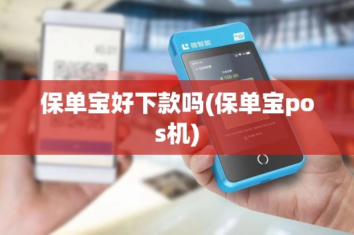 保单宝好下款吗(保单宝pos机) 保单宝好下款吗(保单宝pos机)