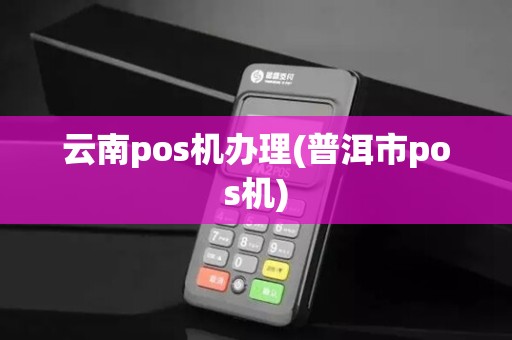 云南pos机办理(普洱市pos机)