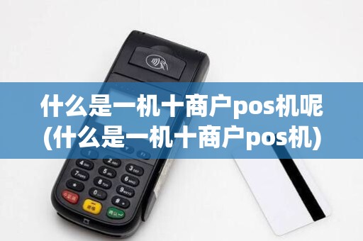 什么是一机十商户pos机呢(什么是一机十商户pos机)