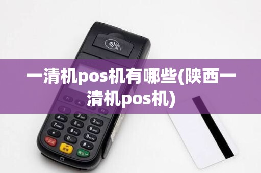 一清机pos机有哪些(陕西一清机pos机)