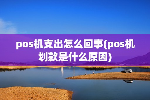 pos机支出怎么回事(pos机划款是什么原因)