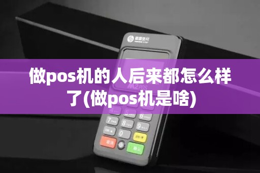 做pos机的人后来都怎么样了(做pos机是啥)