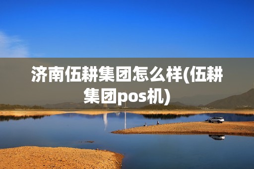 济南伍耕集团怎么样(伍耕集团pos机)