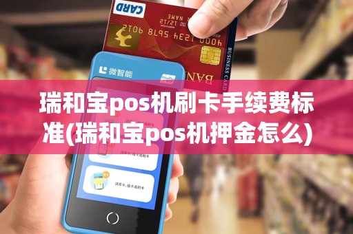 瑞和宝pos机刷卡手续费标准(瑞和宝pos机押金怎么)