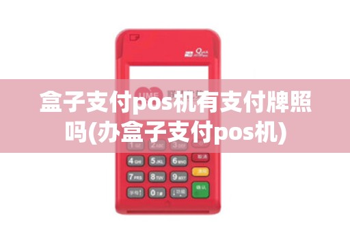 盒子支付pos机有支付牌照吗(办盒子支付pos机) 盒子支付pos机有支付牌照吗(办盒子支付pos机)