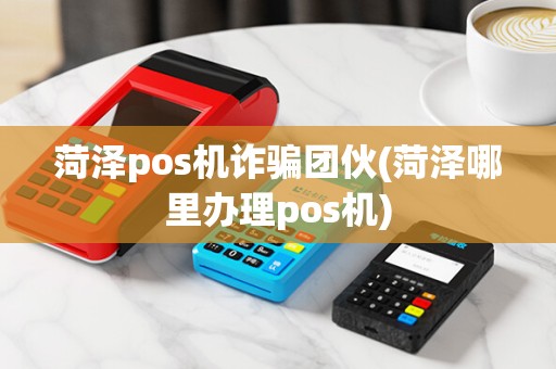 菏泽pos机诈骗团伙(菏泽哪里办理pos机)