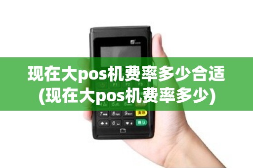 现在大pos机费率多少合适(现在大pos机费率多少) 现在大pos机费率多少合适(现在大pos机费率多少)