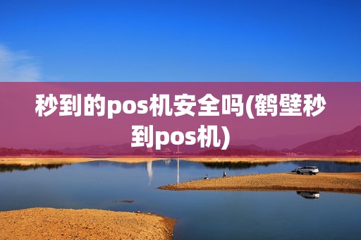 秒到的pos机安全吗(鹤壁秒到pos机) 秒到的pos机安全吗(鹤壁秒到pos机)