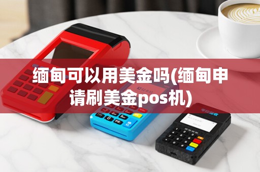 缅甸可以用美金吗(缅甸申请刷美金pos机) 缅甸可以用美金吗(缅甸申请刷美金pos机)