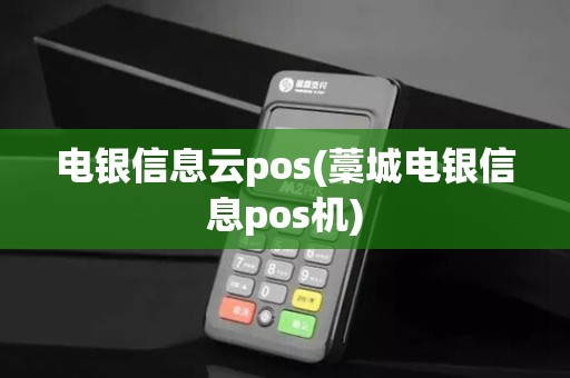 电银信息云pos(藁城电银信息pos机) 电银信息云pos(藁城电银信息pos机)