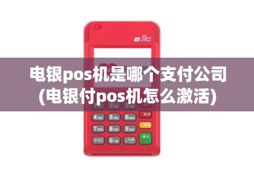 电银pos机是哪个支付公司(电银付pos机怎么激活) 电银pos机是哪个支付公司(电银付pos机怎么激活)