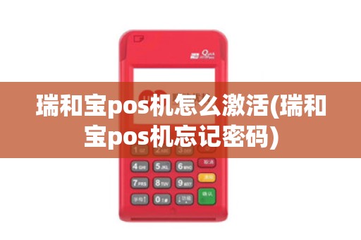 瑞和宝pos机怎么激活(瑞和宝pos机忘记密码) 瑞和宝pos机怎么激活(瑞和宝pos机忘记密码)