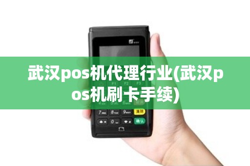 武汉pos机代理行业(武汉pos机刷卡手续) 武汉pos机代理行业(武汉pos机刷卡手续)