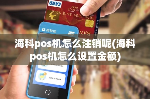 海科pos机怎么注销呢(海科pos机怎么设置金额) 海科pos机怎么注销呢(海科pos机怎么设置金额)