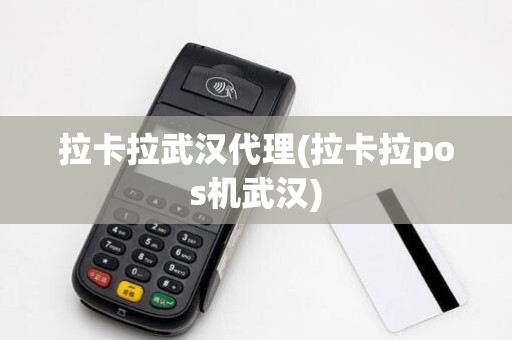 拉卡拉武汉代理(拉卡拉pos机武汉) 拉卡拉武汉代理(拉卡拉pos机武汉)
