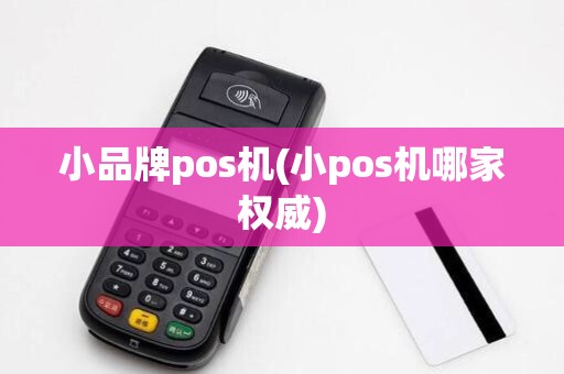 小品牌pos机(小pos机哪家权威)