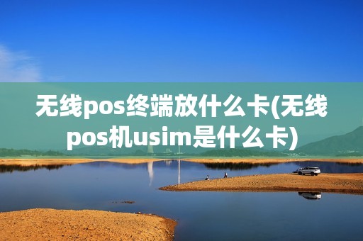 无线pos终端放什么卡(无线pos机usim是什么卡) 无线pos终端放什么卡(无线pos机usim是什么卡)
