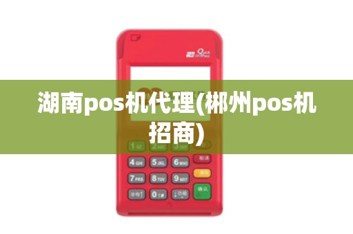 湖南pos机代理(郴州pos机招商) 湖南pos机代理(郴州pos机招商)