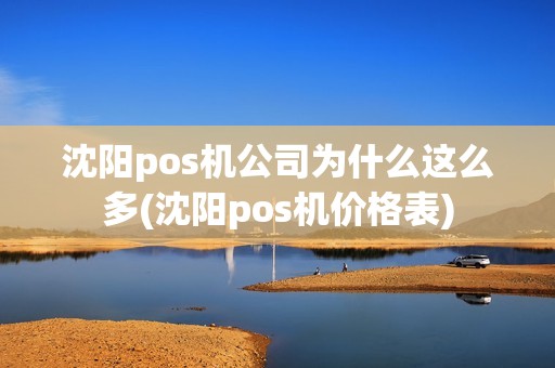 沈阳pos机公司为什么这么多(沈阳pos机价格表) 沈阳pos机公司为什么这么多(沈阳pos机价格表)