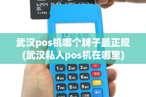武汉pos机哪个牌子最正规(武汉私人pos机在哪里) 武汉pos机哪个牌子最正规(武汉私人pos机在哪里)