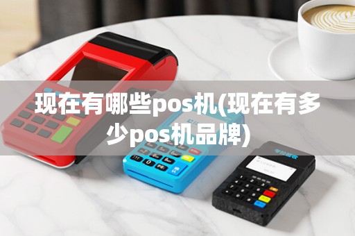 现在有哪些pos机(现在有多少pos机品牌) 现在有哪些pos机(现在有多少pos机品牌)