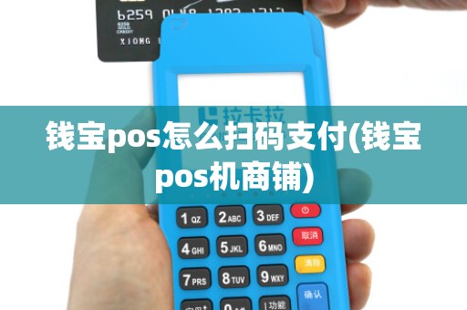 钱宝pos怎么扫码支付(钱宝pos机商铺)