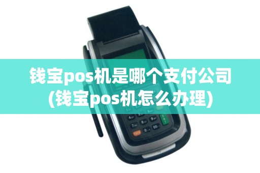 钱宝pos机是哪个支付公司(钱宝pos机怎么办理)