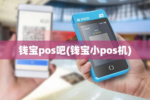 钱宝pos吧(钱宝小pos机)