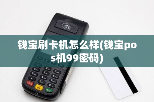 钱宝刷卡机怎么样(钱宝pos机99密码) 钱宝刷卡机怎么样(钱宝pos机99密码)