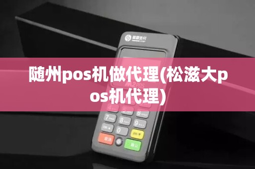 随州pos机做代理(松滋大pos机代理)