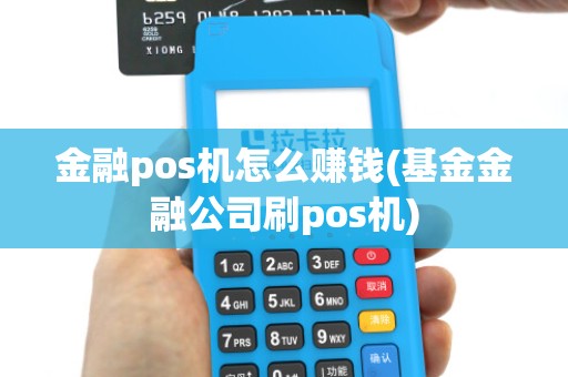 金融pos机怎么赚钱(基金金融公司刷pos机) 金融pos机怎么赚钱(基金金融公司刷pos机)