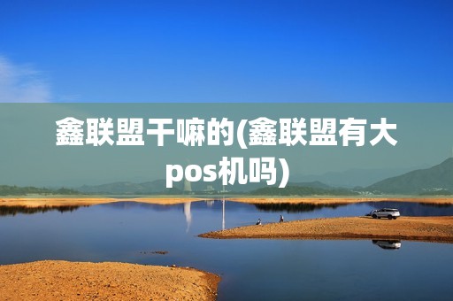 鑫联盟干嘛的(鑫联盟有大pos机吗)