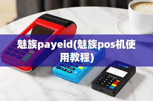 魅族payeid(魅族pos机使用教程)