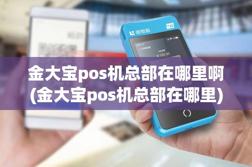 金大宝pos机总部在哪里啊(金大宝pos机总部在哪里)