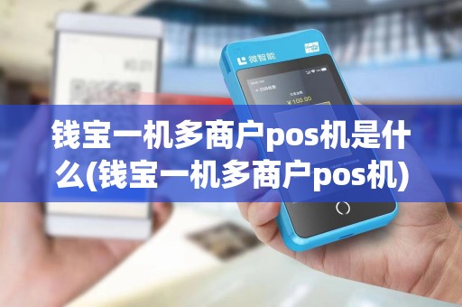 钱宝一机多商户pos机是什么(钱宝一机多商户pos机)