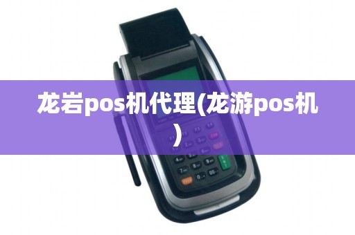 龙岩pos机代理(龙游pos机)