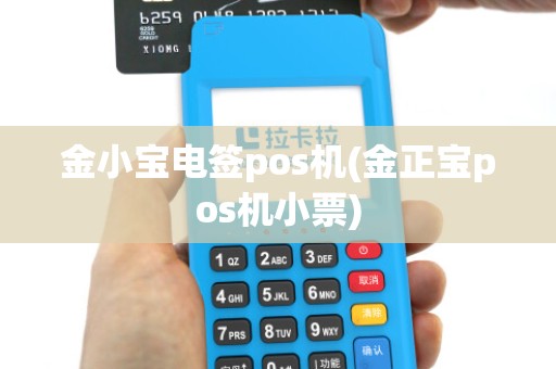 金小宝电签pos机(金正宝pos机小票)